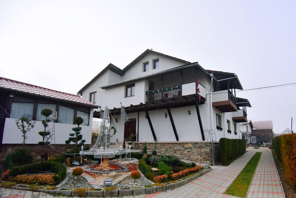 Pensiunea Casa Elena Agnita Экстерьер фото