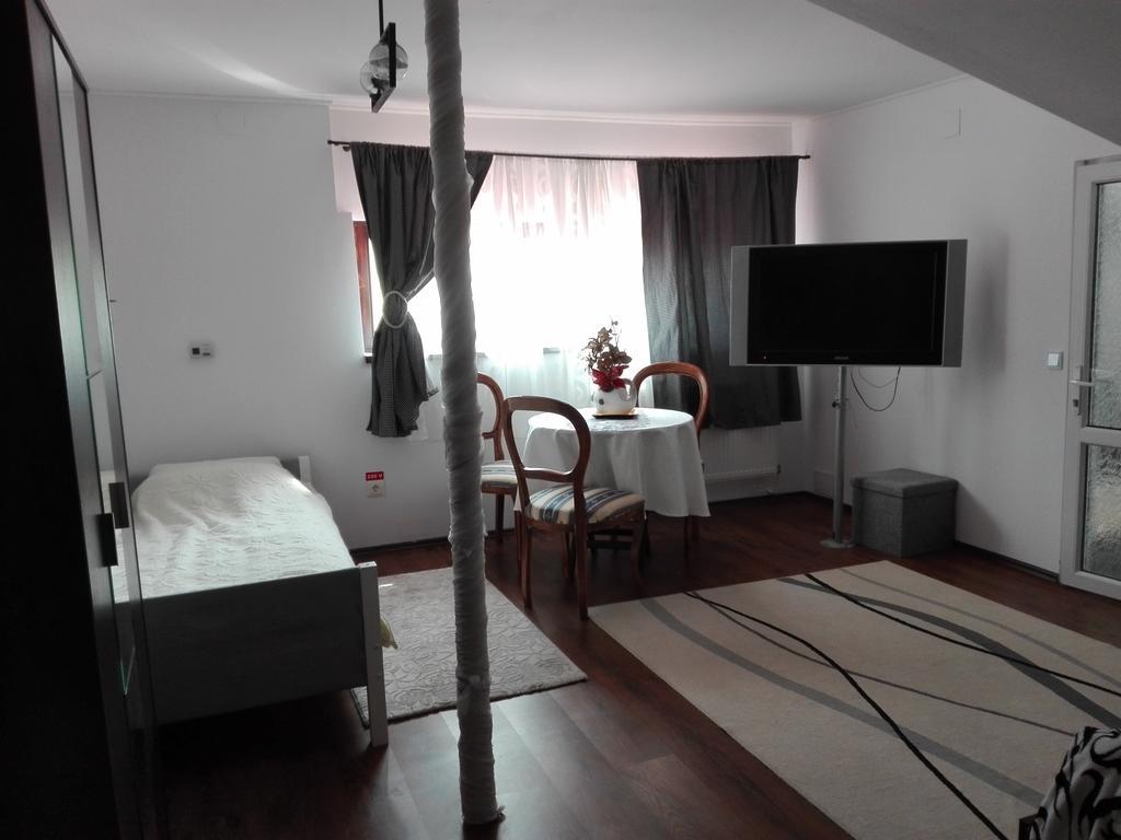 Pensiunea Casa Elena Agnita Экстерьер фото