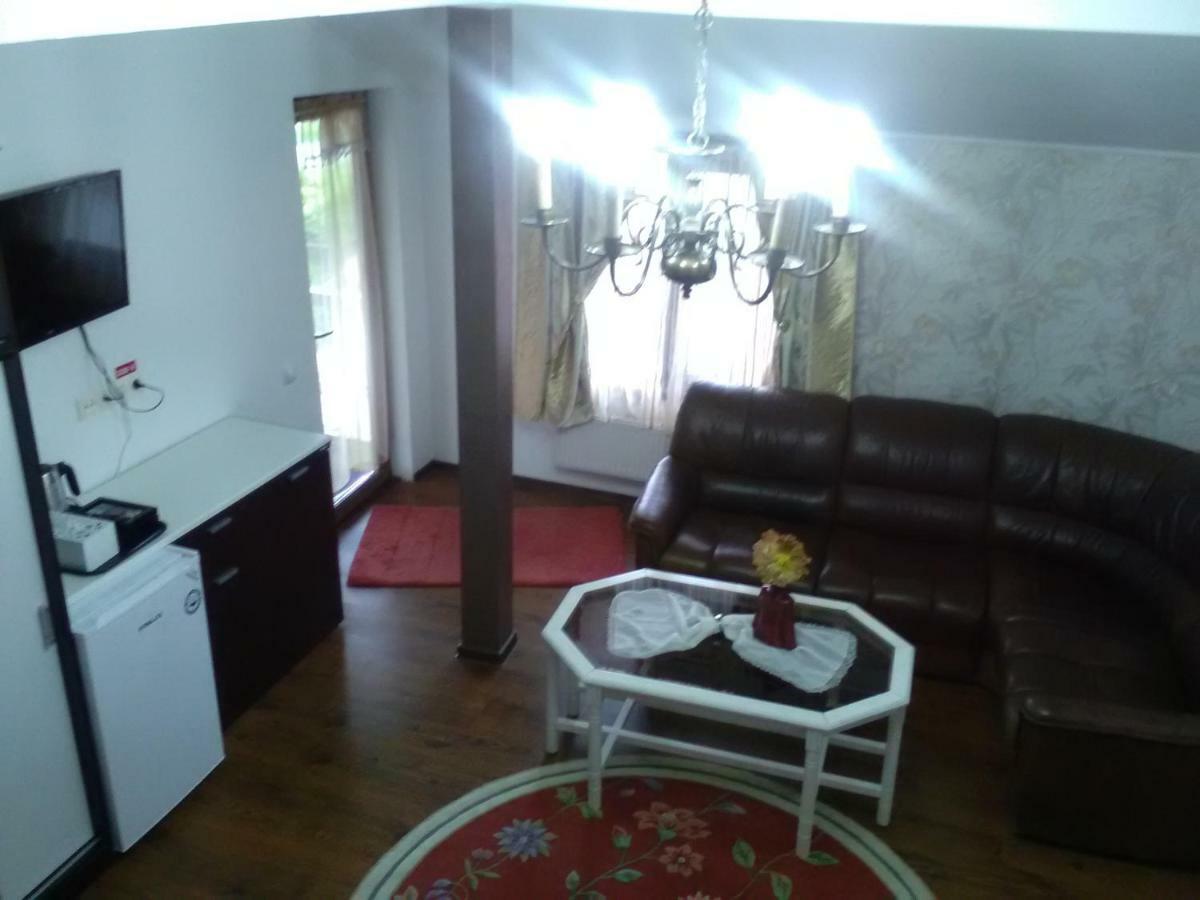 Pensiunea Casa Elena Agnita Экстерьер фото