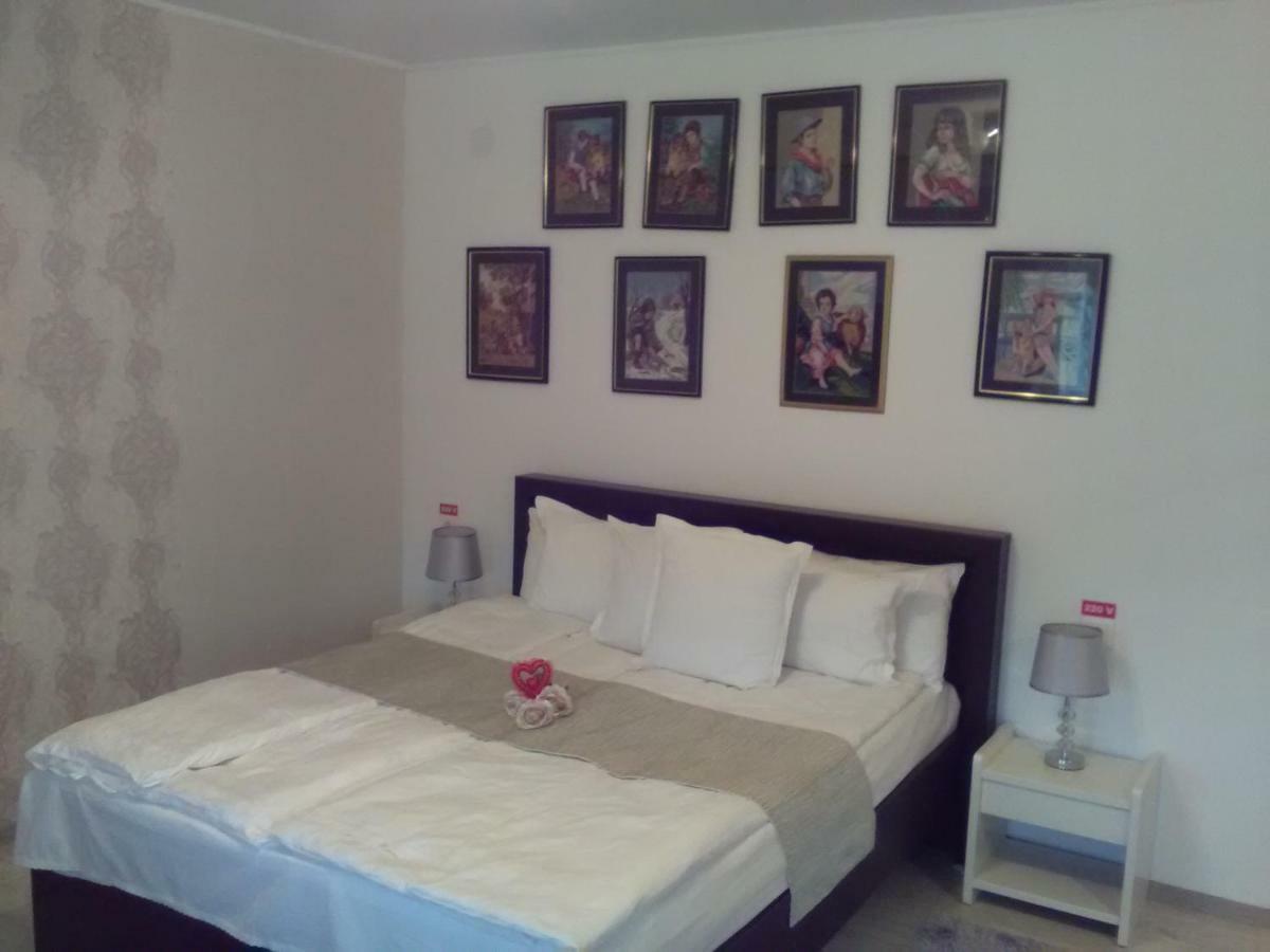 Pensiunea Casa Elena Agnita Экстерьер фото